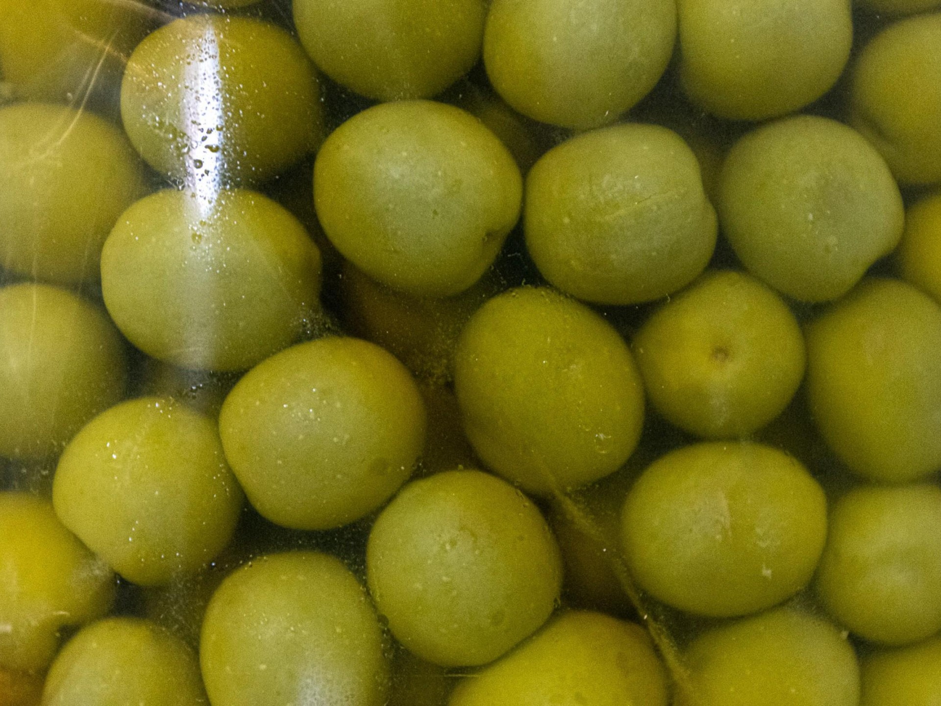 Food & Cheese Distributor 598216 1