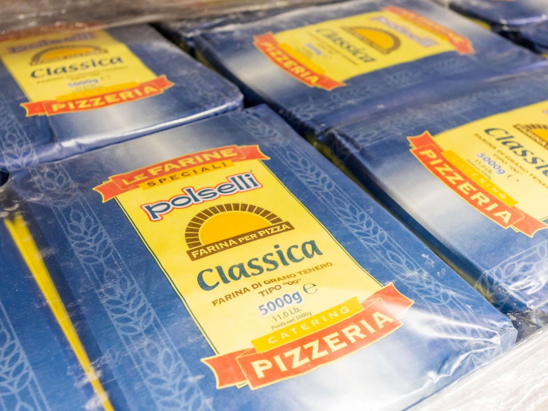 Food & Cheese Distributor 598216 2