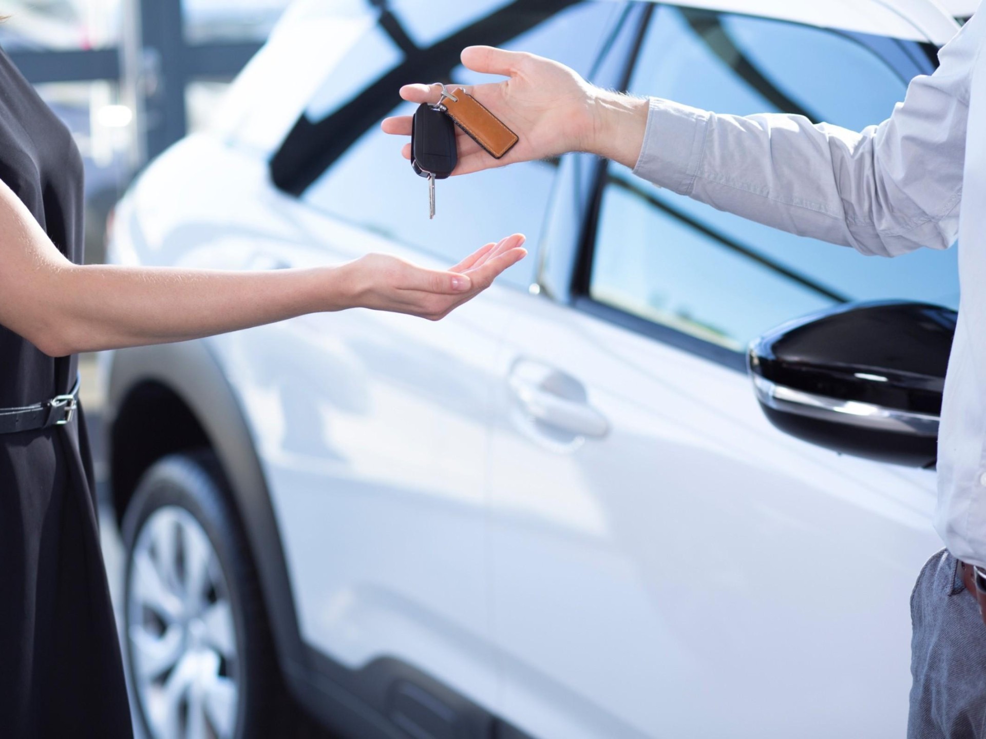 Regional Auto Dealer – 598845 1