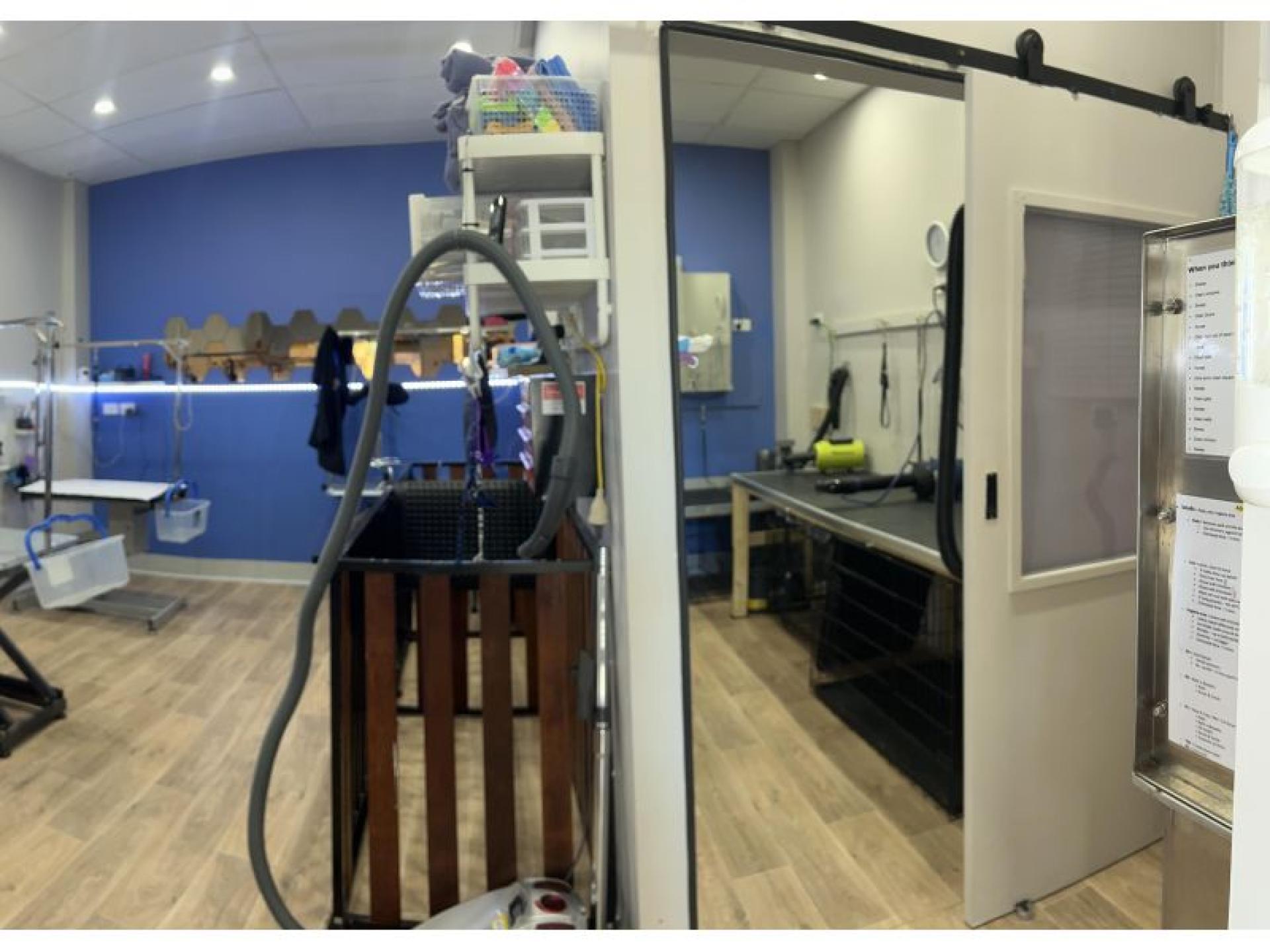 Sold - Busy Dog 599361 3