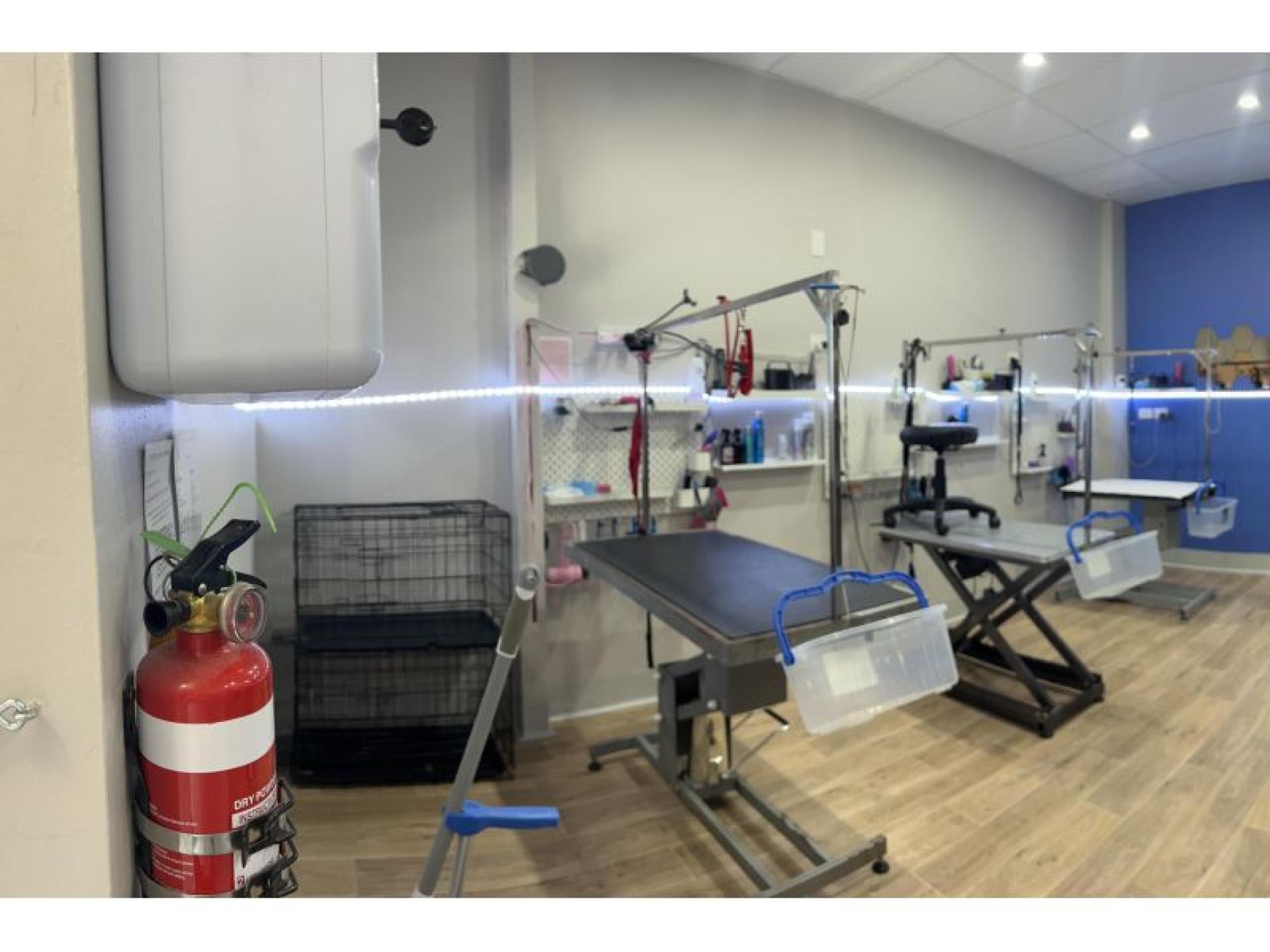 Sold - Busy Dog 599361 2