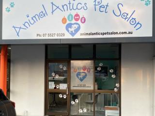 SOLD - Busy Dog Grooming Salon – Southport, QLD