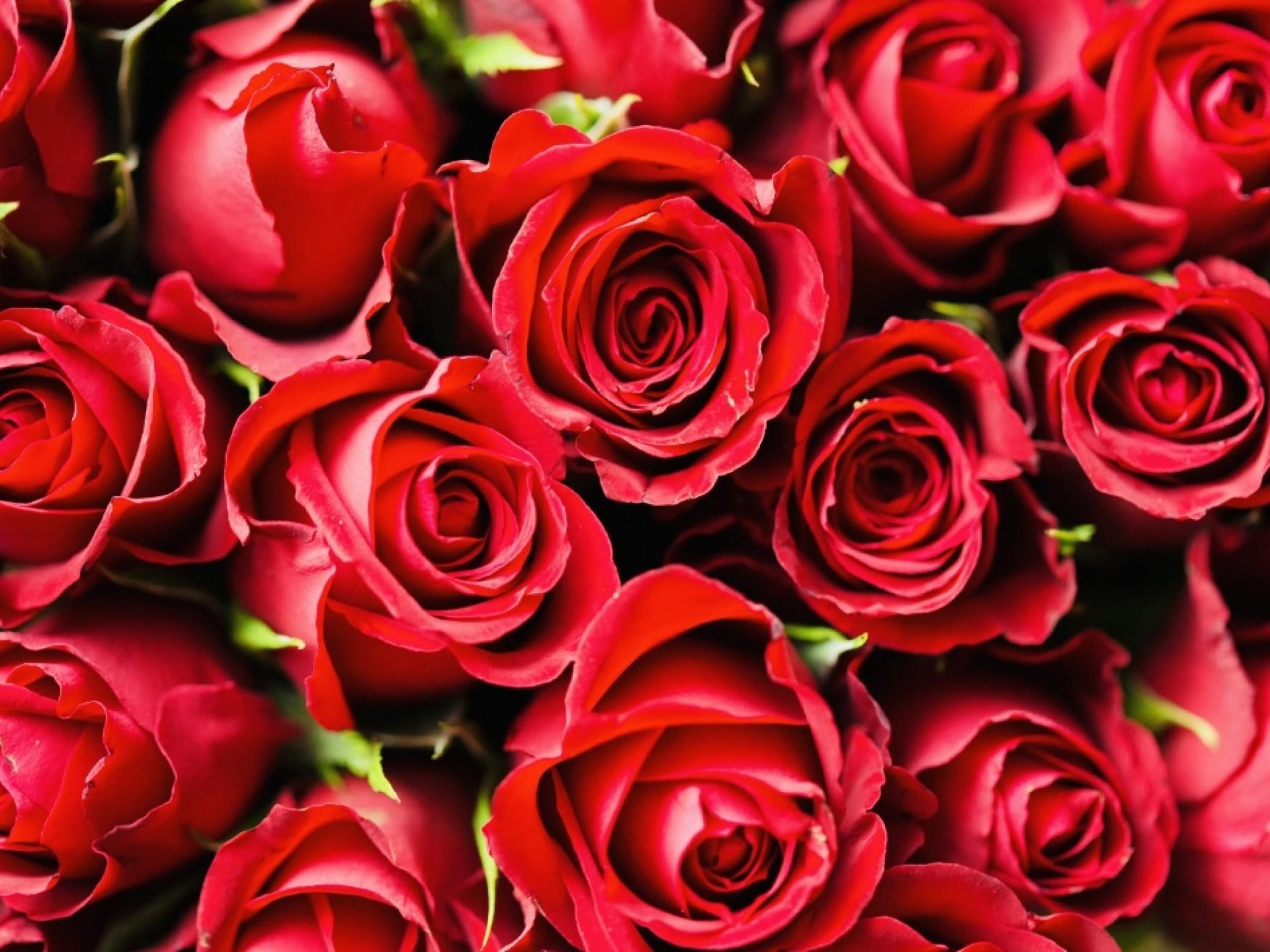 Profitable Florist Business For 600555 2