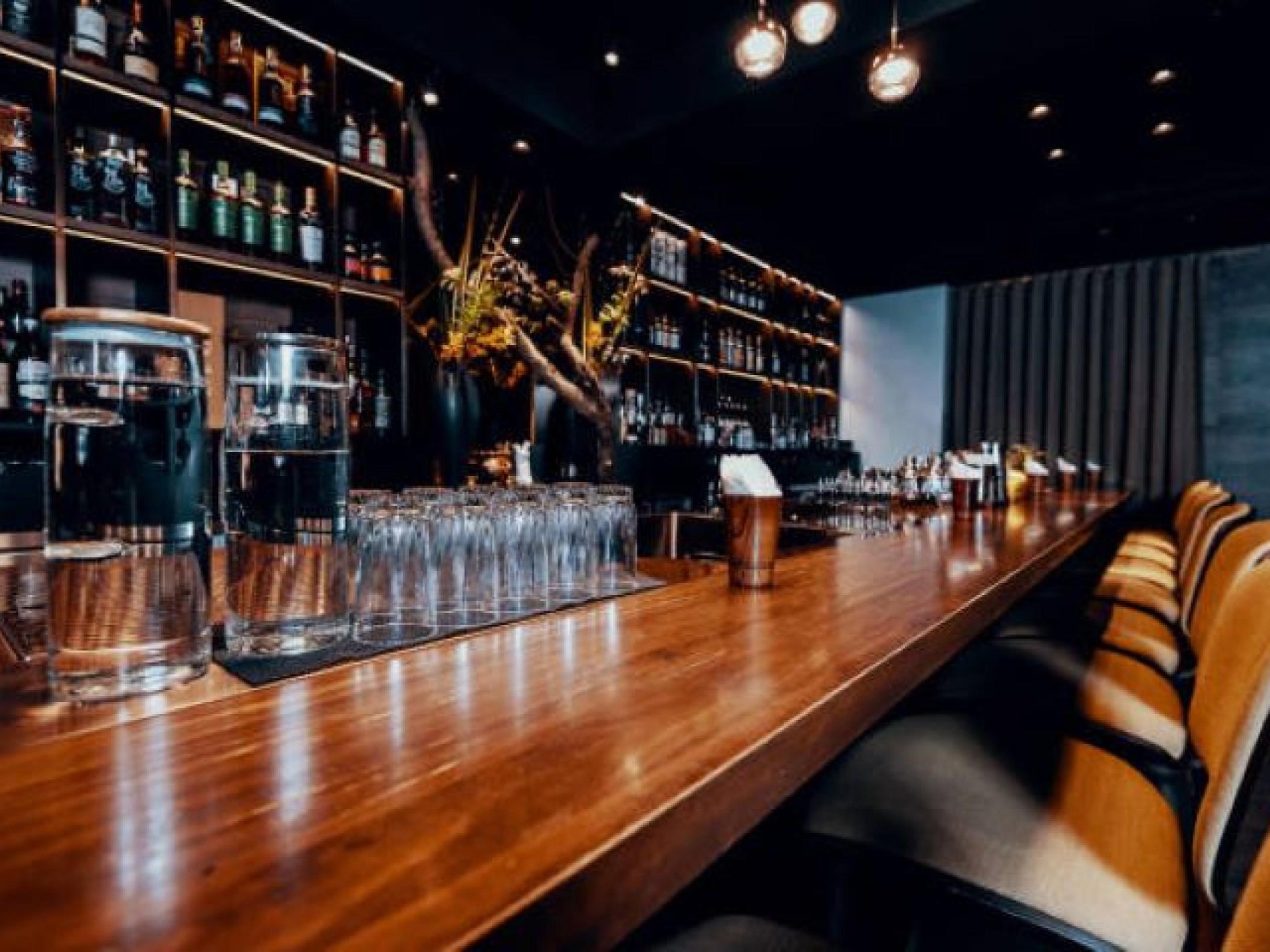 Wow Factor Tavern – 600664 1