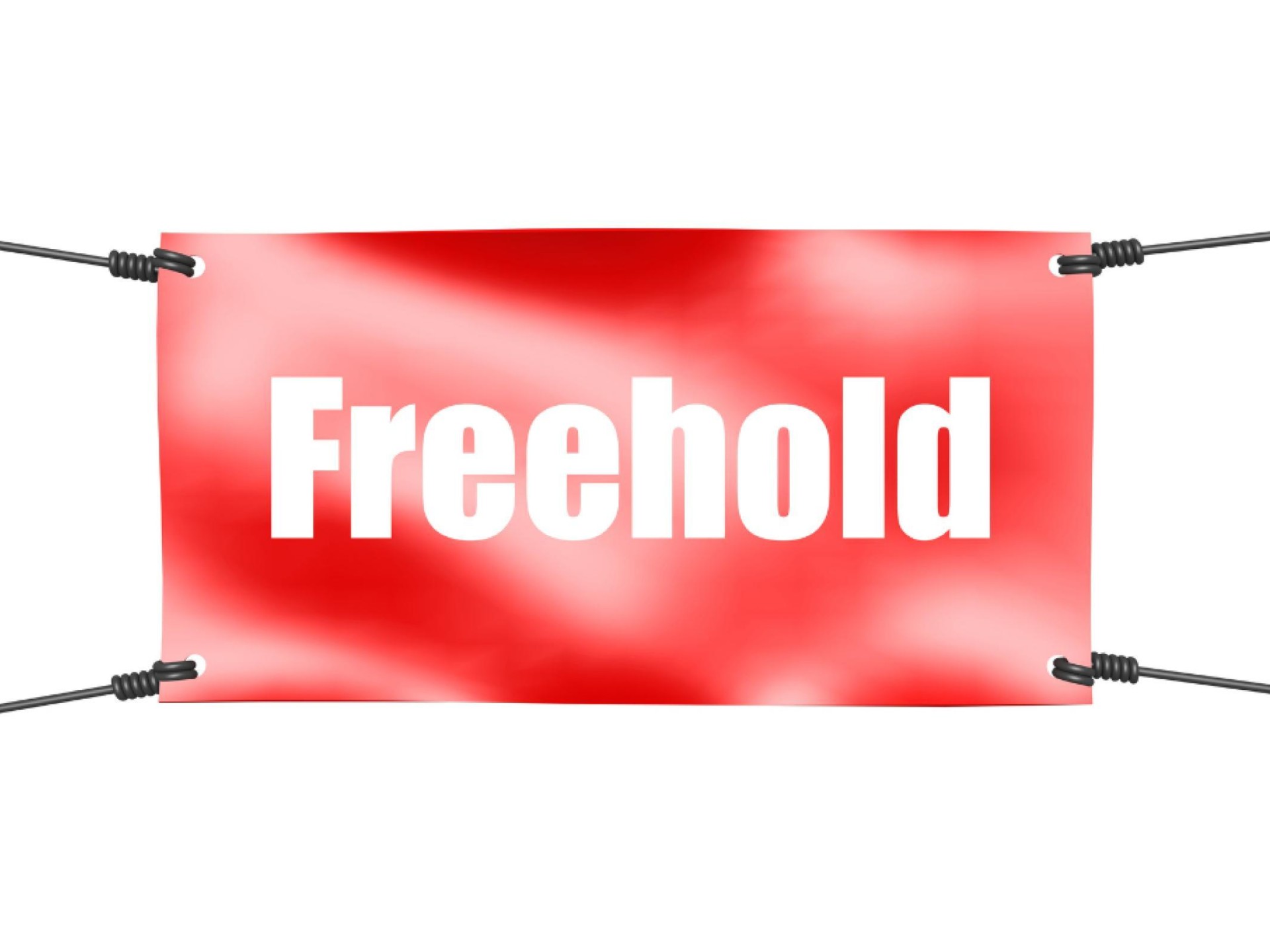 Coffee Wholesale Business With 600776 2