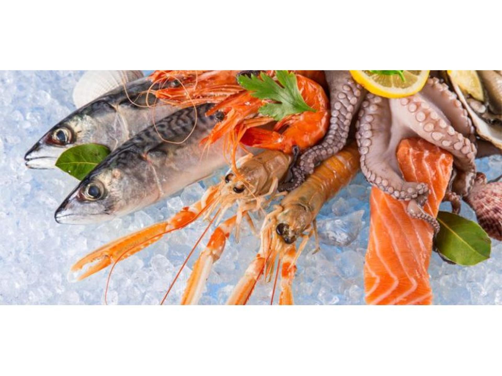 Under Contract: Well-established 20 601604 1