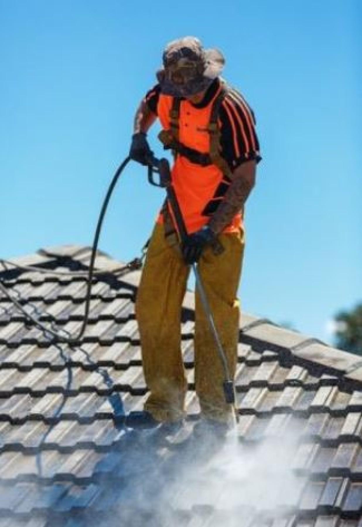 Roof Restoration Business License 602663 2