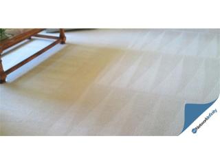 Carpet Cleaning Business For Sale Sydney Nets Big Money