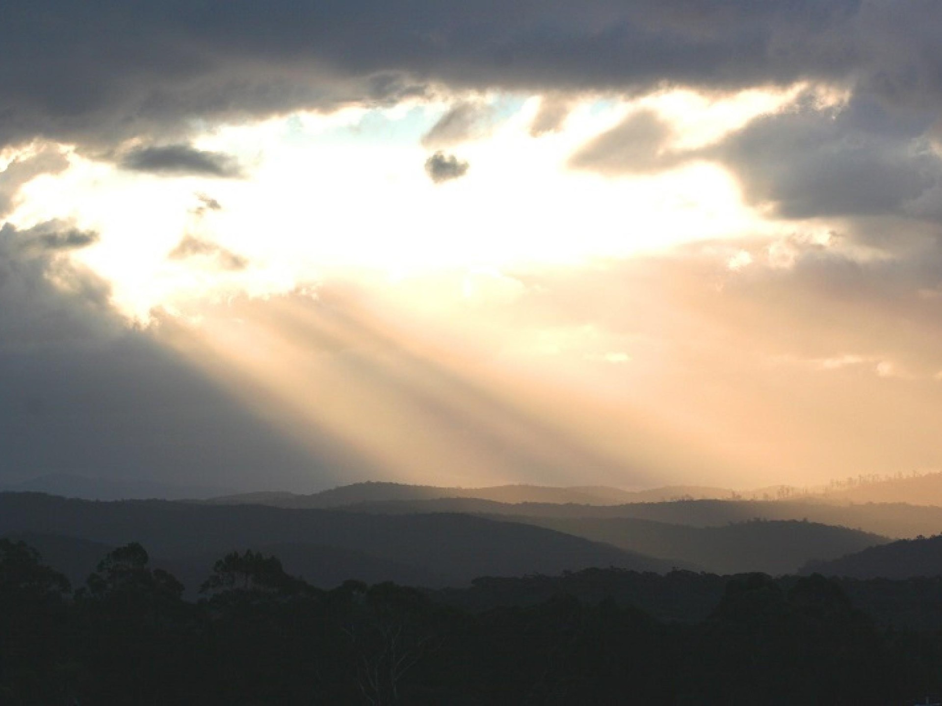 Rare And Exciting Freehold 604772 2