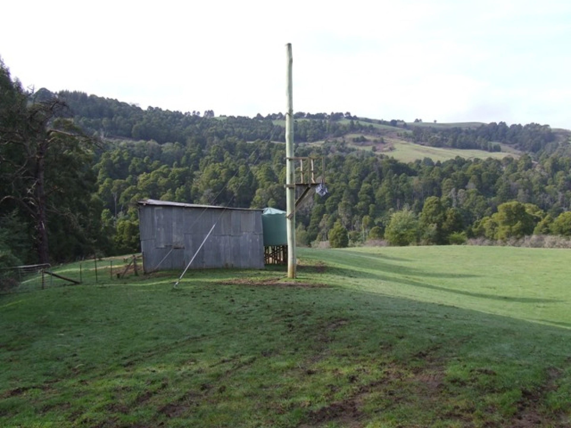 Rare And Exciting Freehold 604772 3