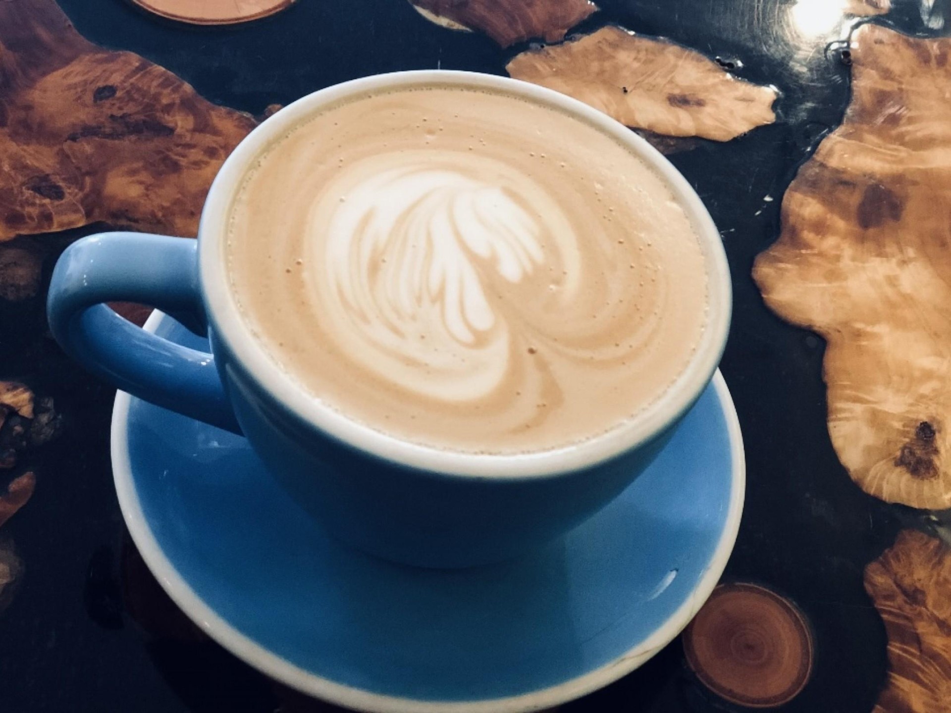 Cafe & Coffee Shop 605002 3