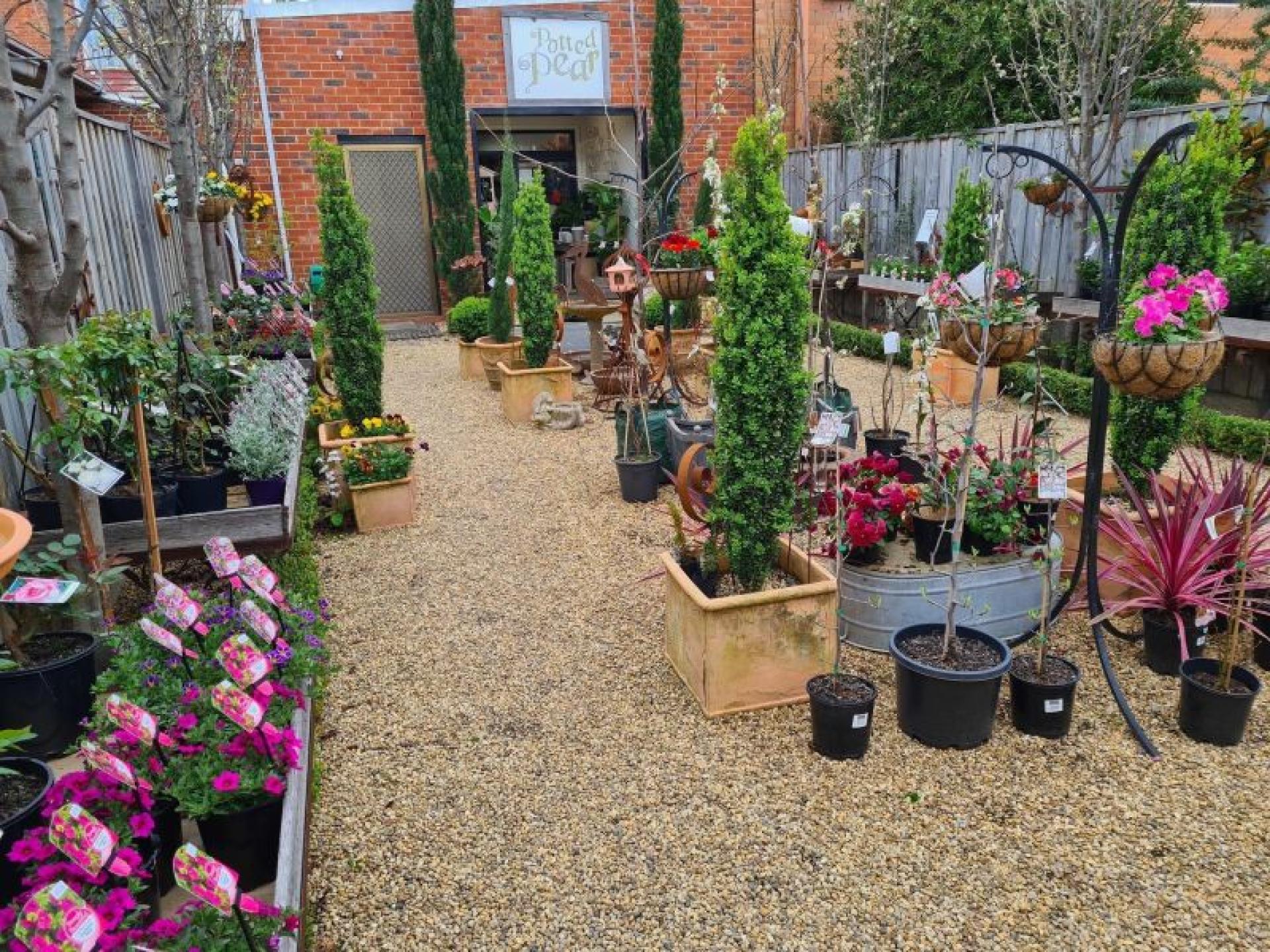 Well Established And Beautifully 607634 1