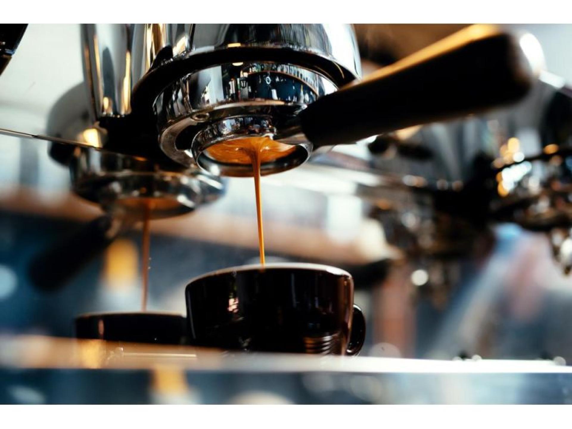 Rapidly Growing Children’s Playcentre 607796 3