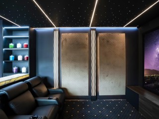 Retail Business Opportunity | Theatre At Home Store Owner