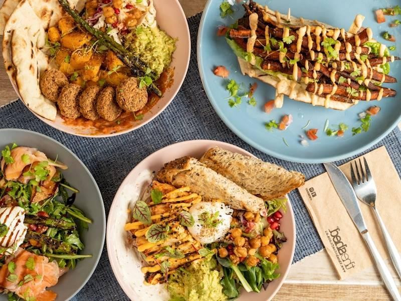 High Performing Shed Cafe 608827 2