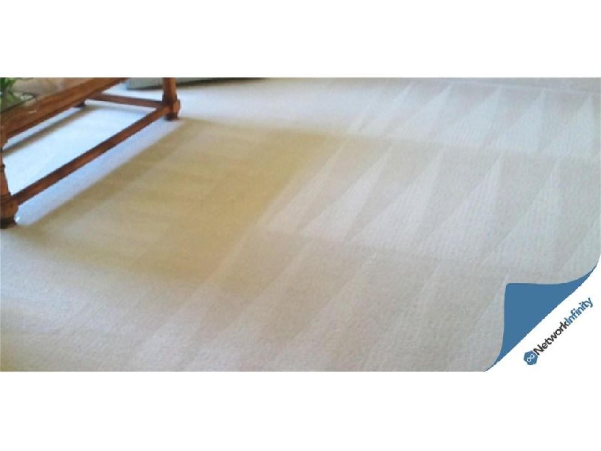 Carpet Cleaning Business For 610061 1
