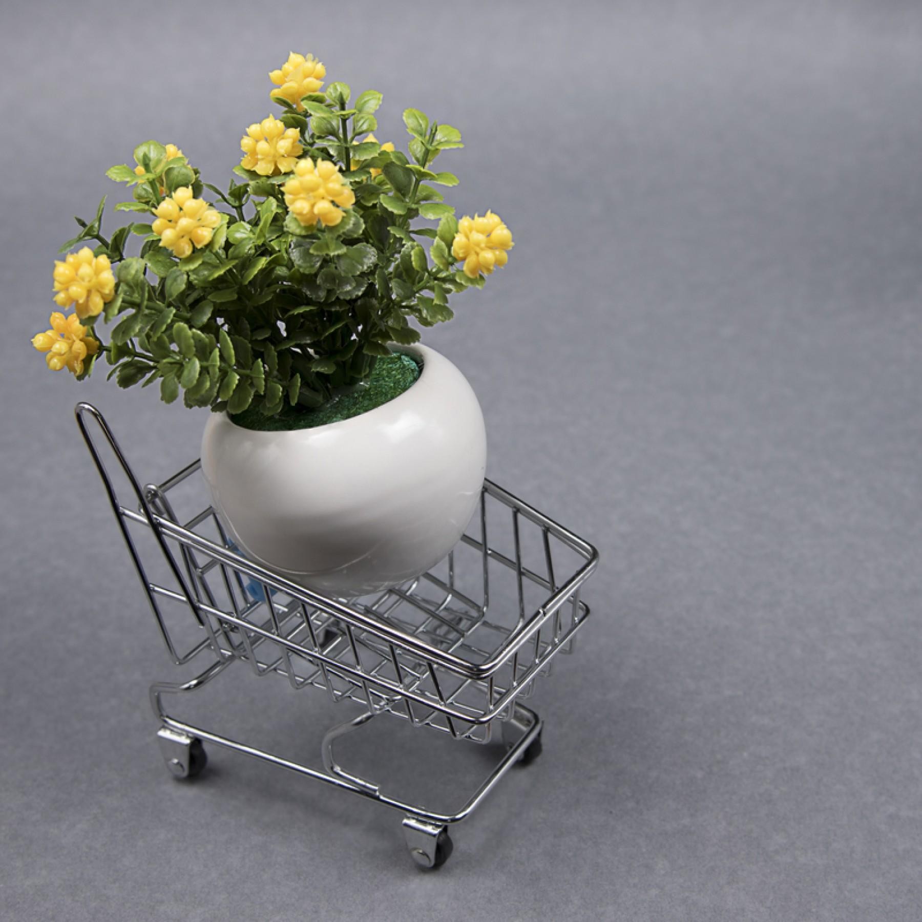 Distribution Of Unique Product 610963 1