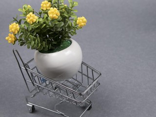 Distribution of unique product - very easy to promote and run