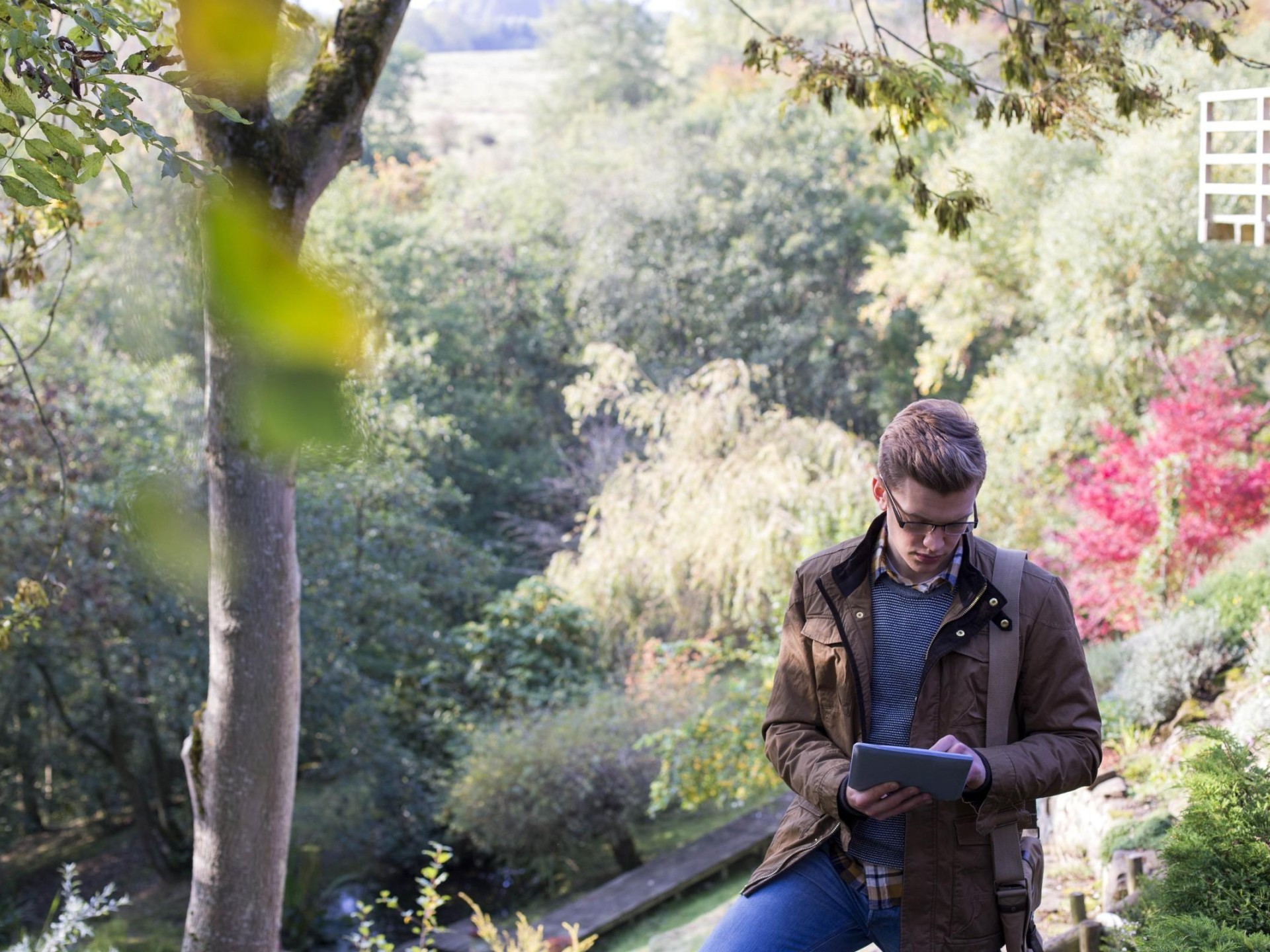 Aborist /tree Removal Business 611775 1