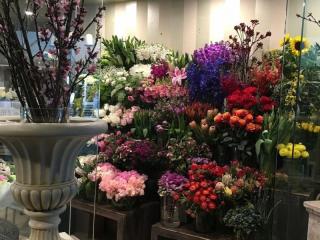 Award-Winning Florist – Lane Cove, NSW