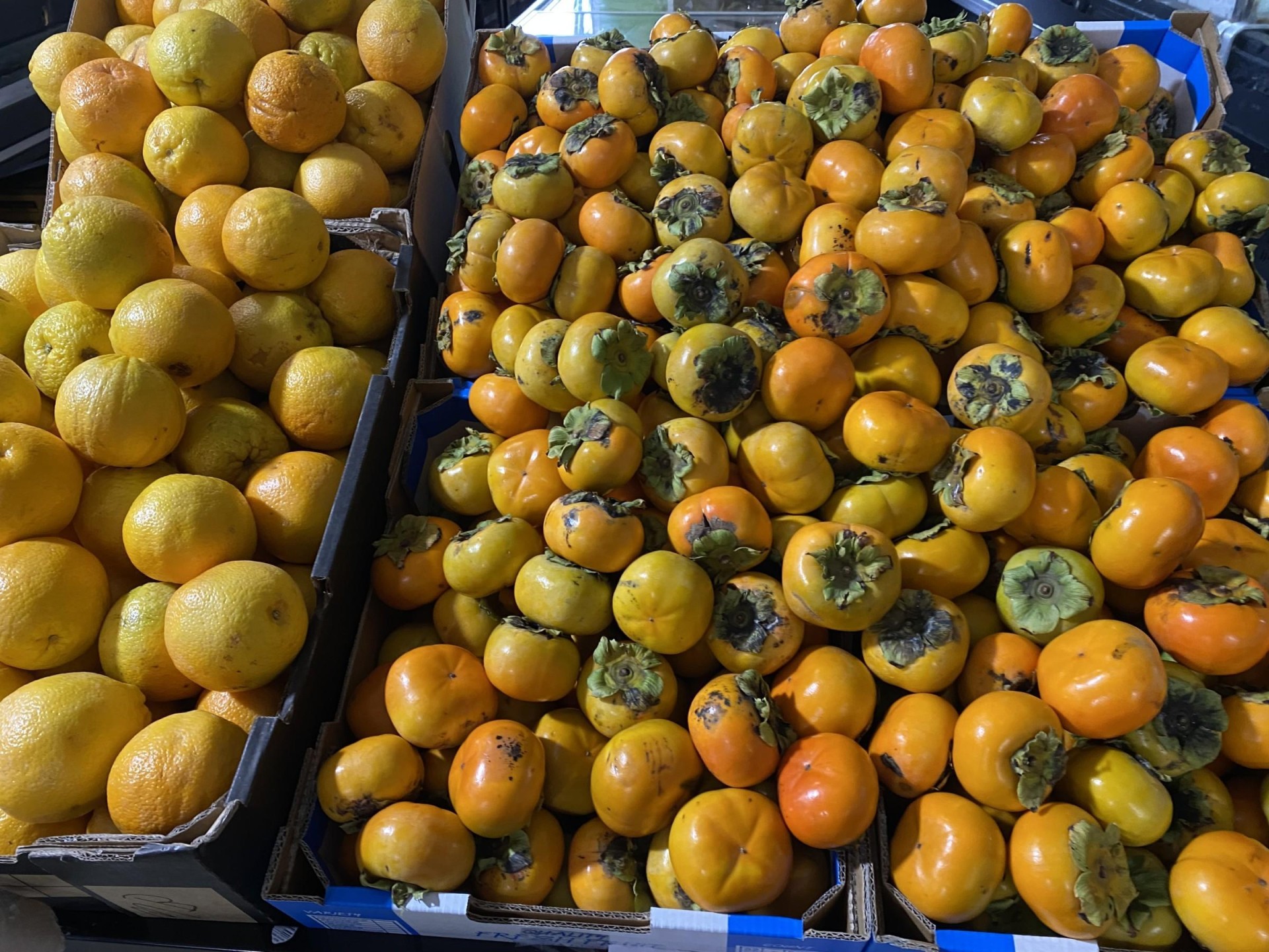 Price Reduced To $190 612372 2