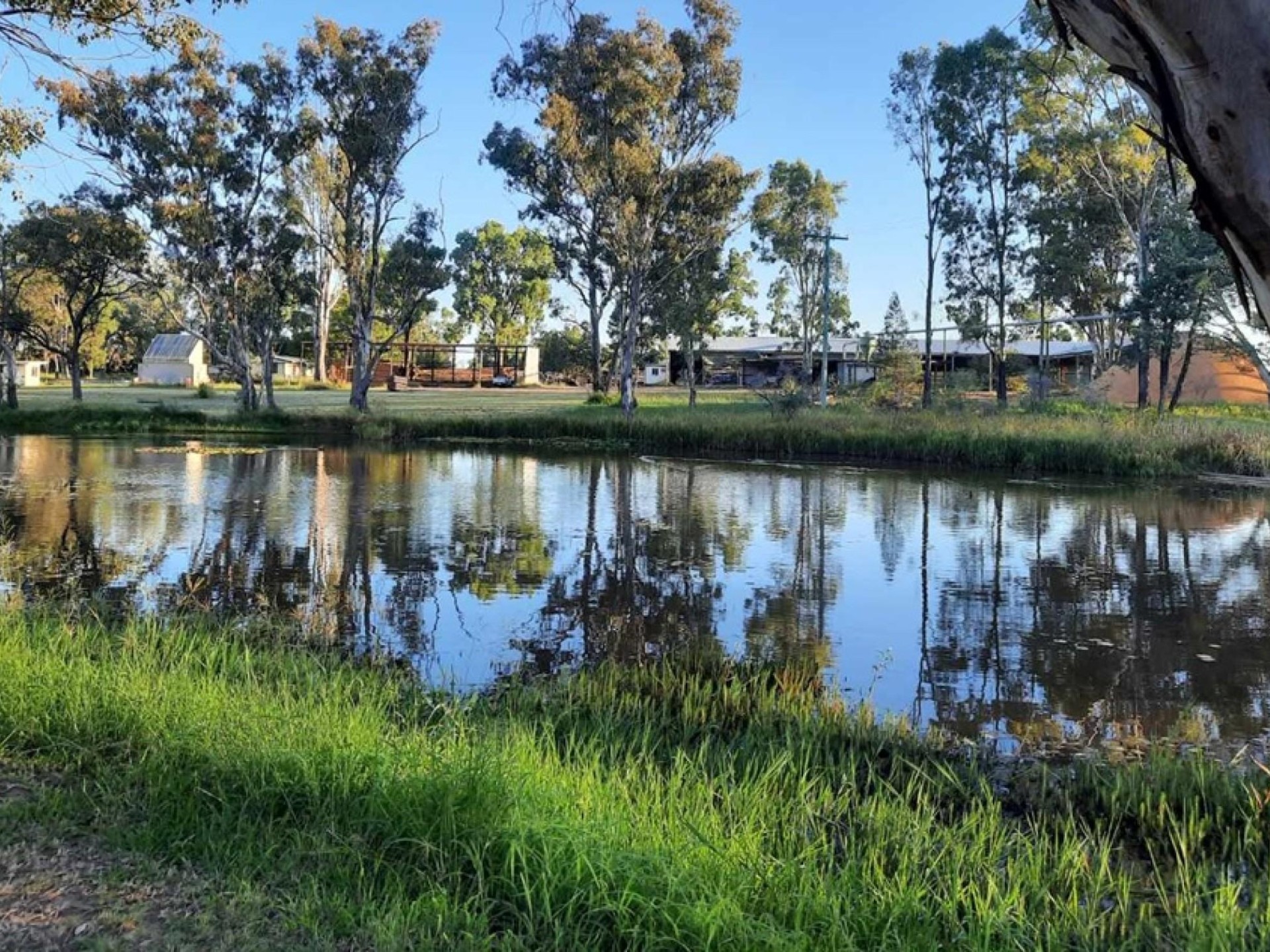 Established Sawmill Western Downs 612887 3