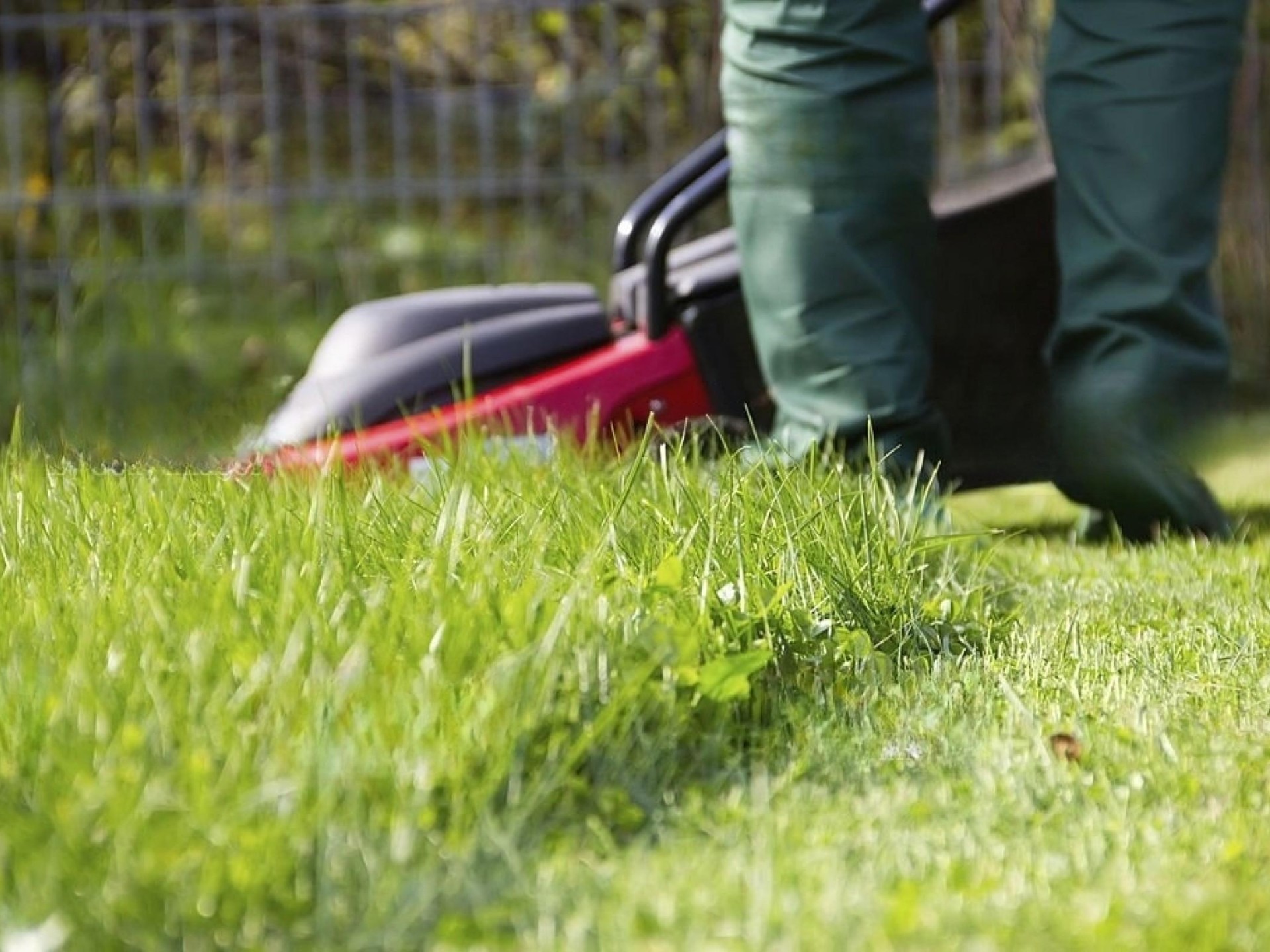 Long-established Lawn/garden Business: High 614842 3