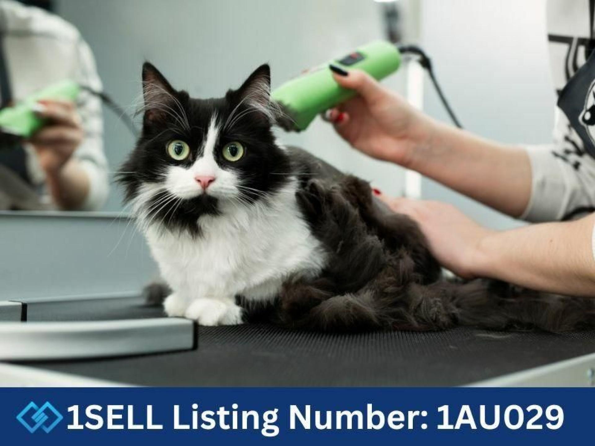 Dog & Cat Grooming 615141 2