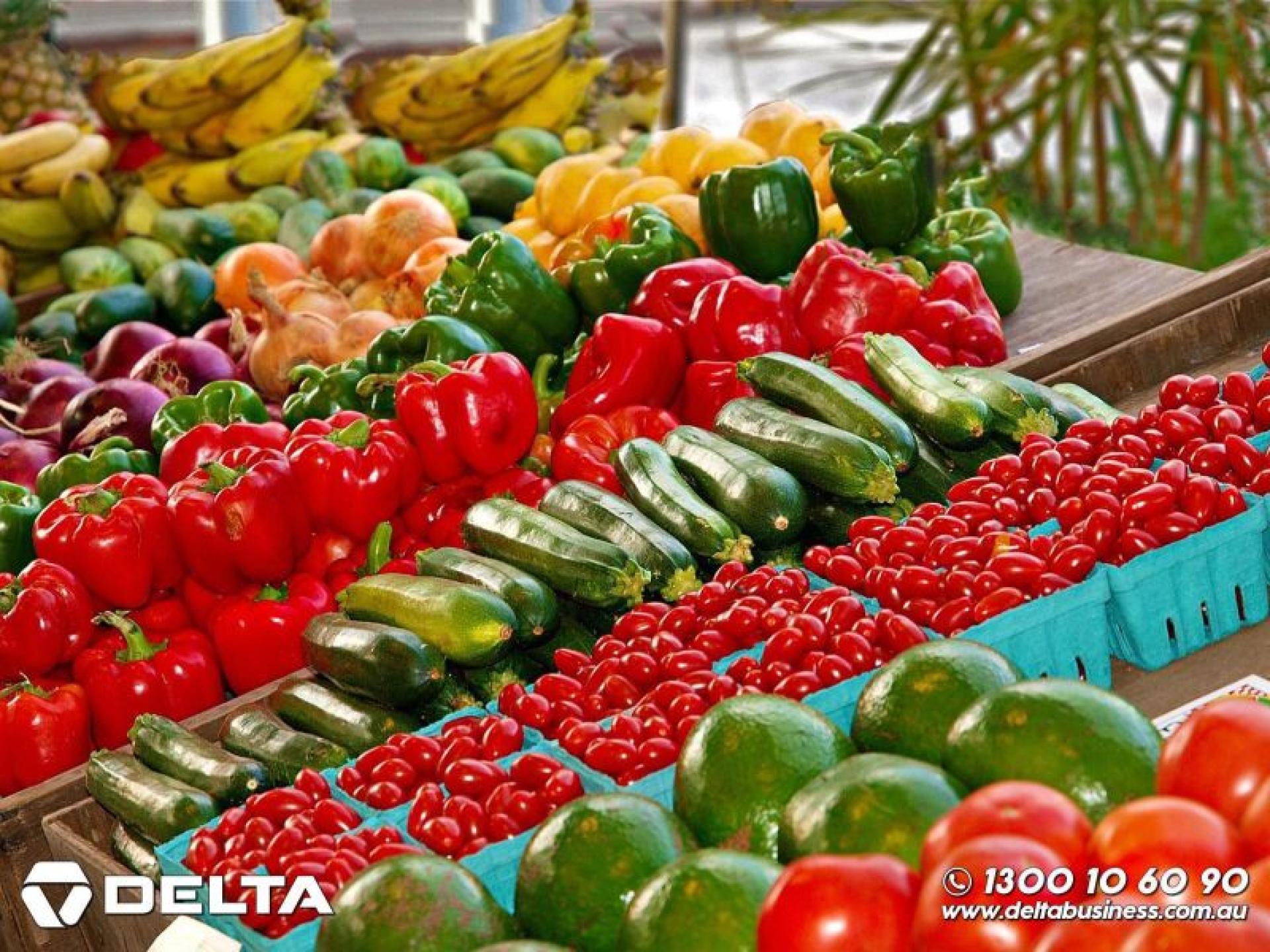 [bbs-029] Well-established Fruit & 616083 2
