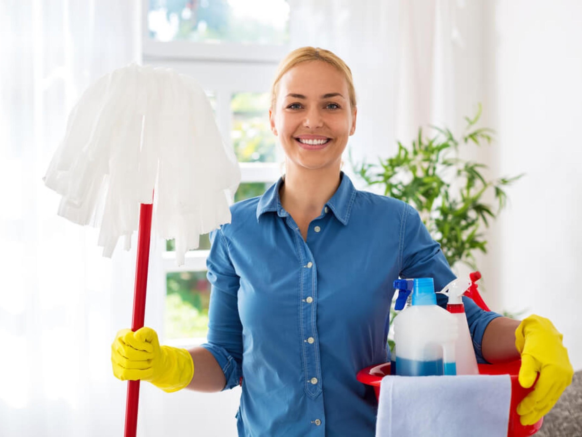 Townsville Cleaning Business - 616395 1