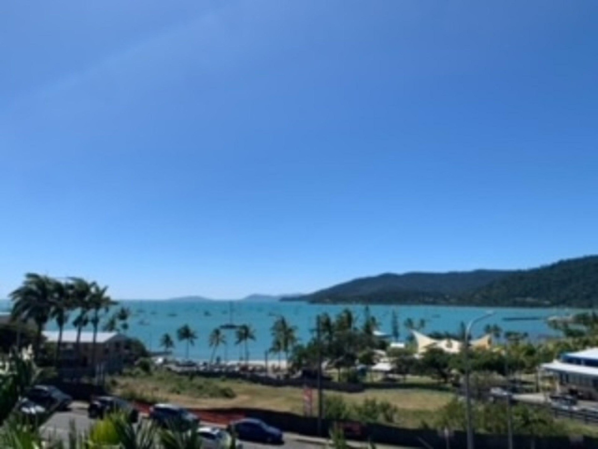 An Iconic And Vibrant 617848 3