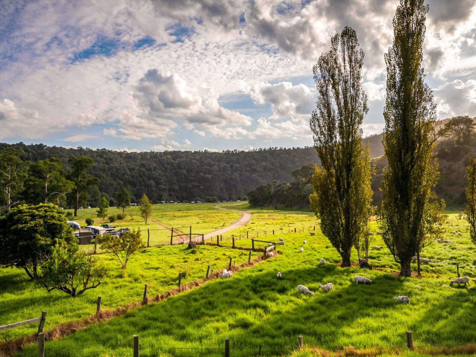 Paradise Valley Camping Ground 618520 3