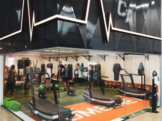 Gym and Fitness Membership Business Model  Highly Profitable