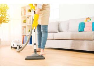 SOLD - Domestic Services Provider - Run Under Management