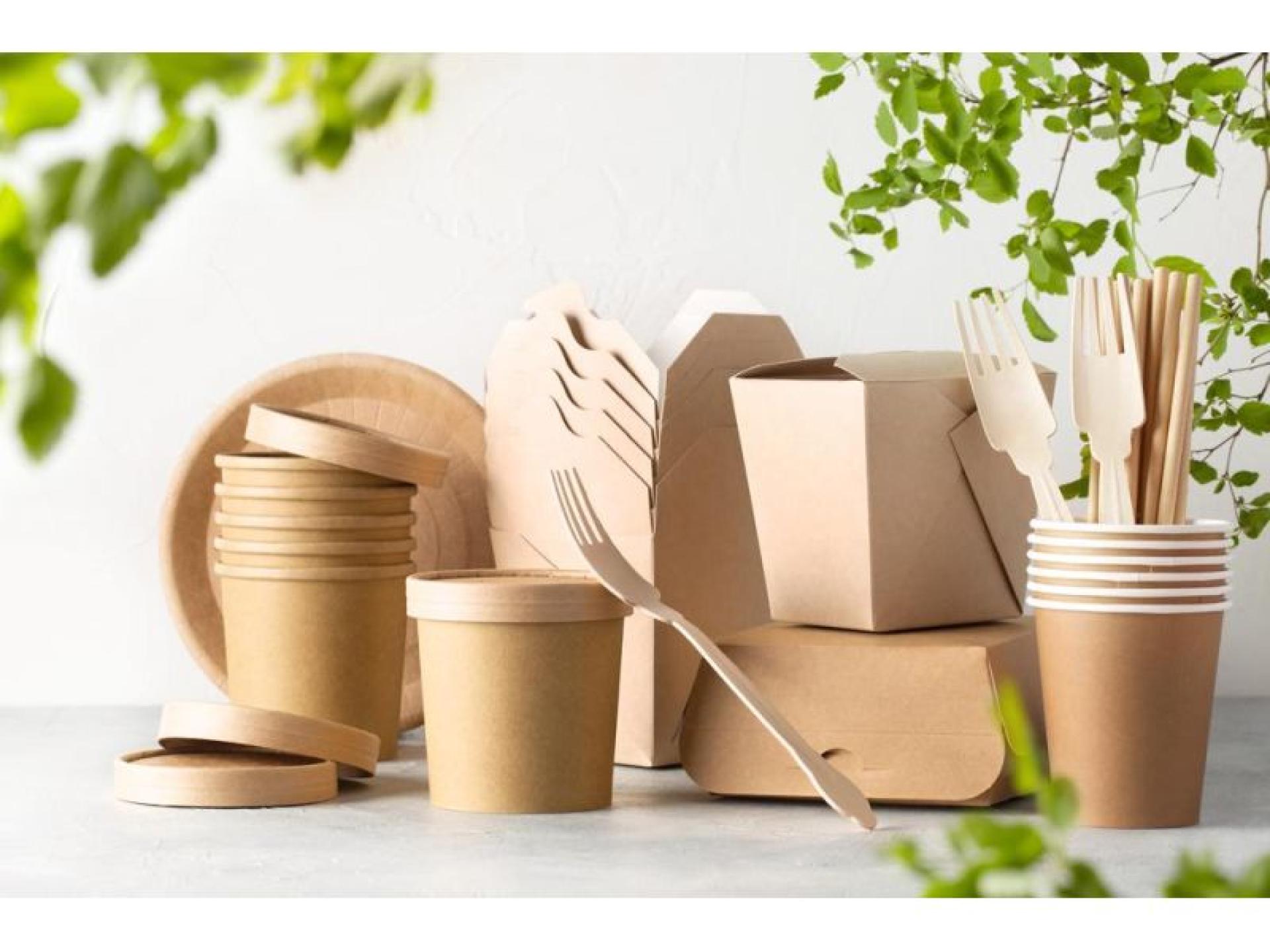 Sustainable Food Service Packaging 620011 2