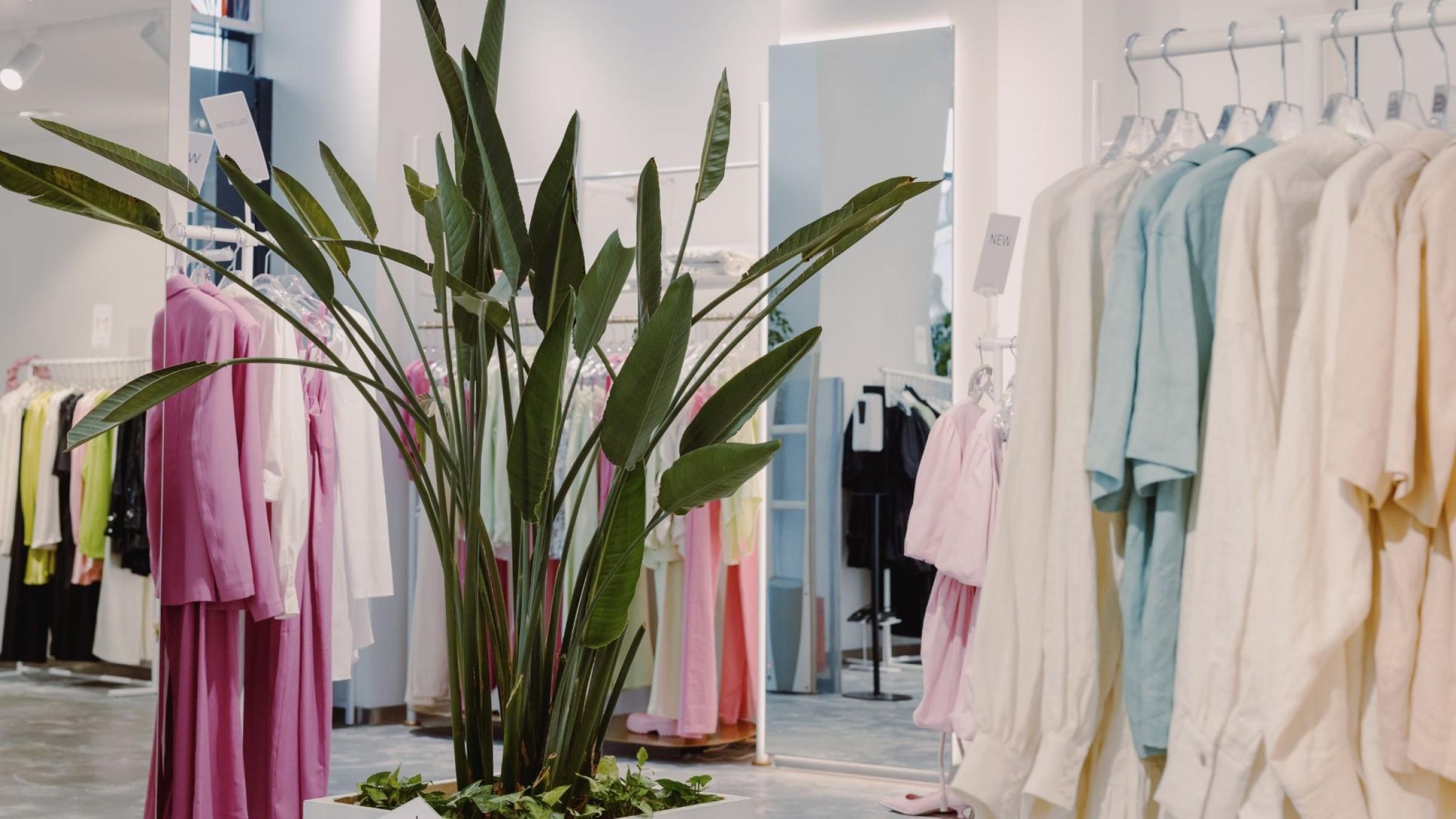 Ladies Fashion Manufacturer/wholesaler Established 620272 1