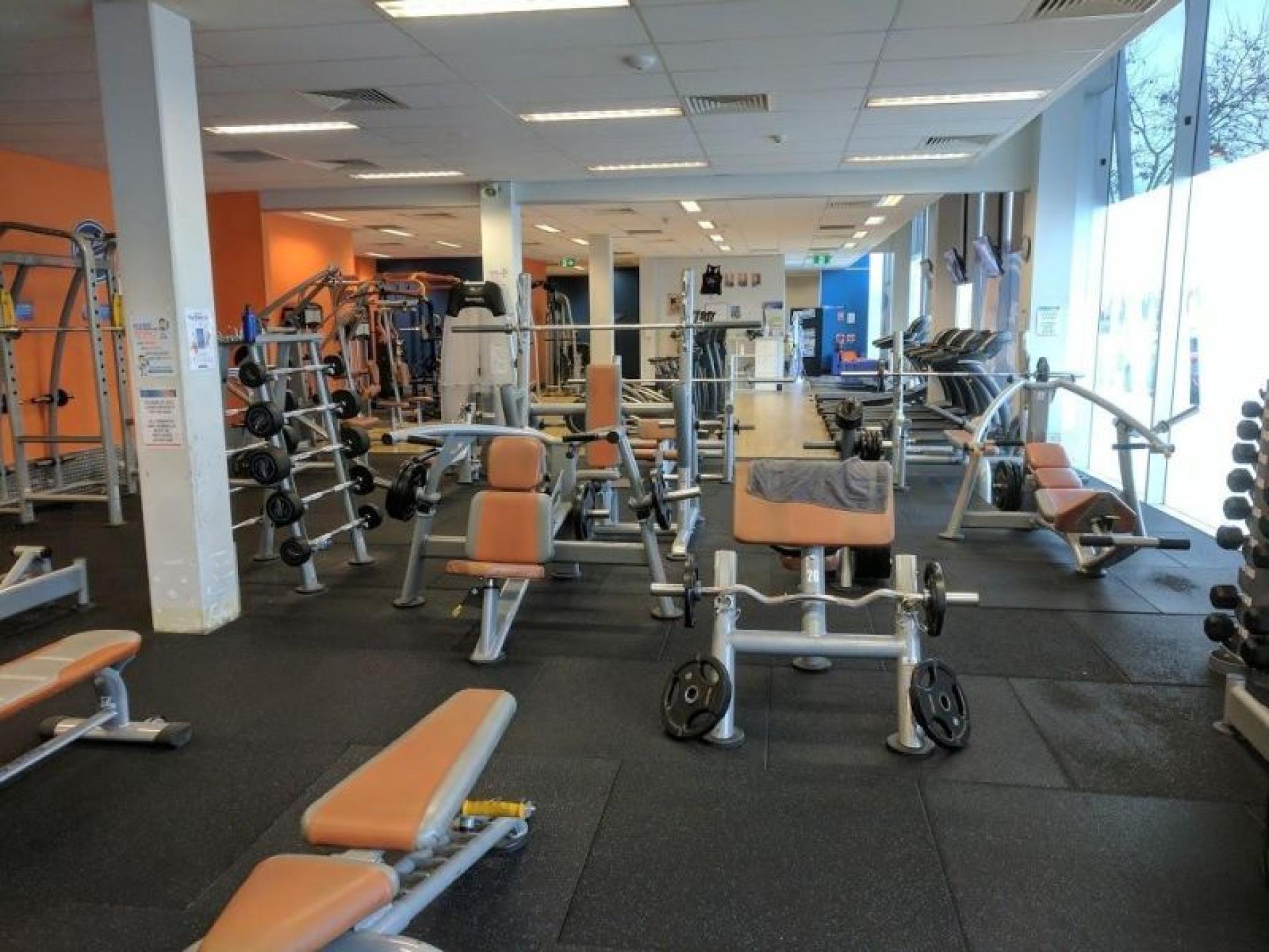 Plus Fitness Franchise For 620794 2