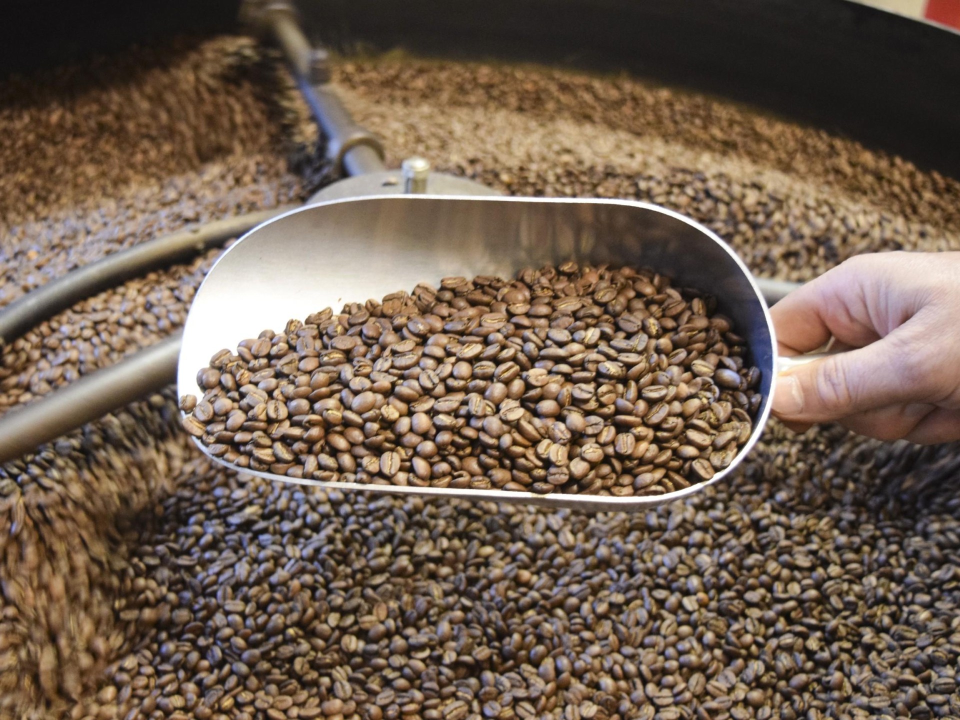 Sunshine Coast Branded Coffee 620973 3