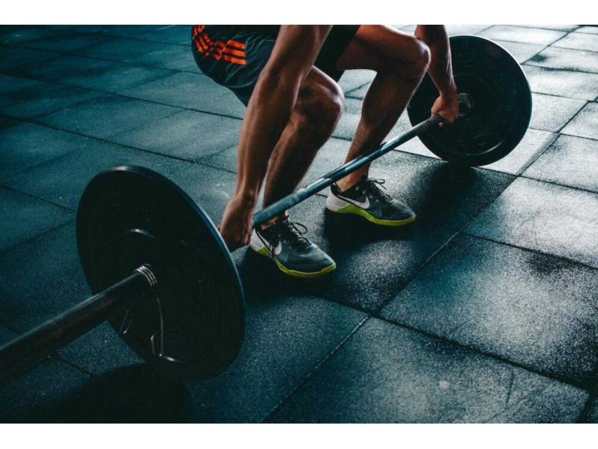 Modern gym – tuggerah  nsw 621406 2