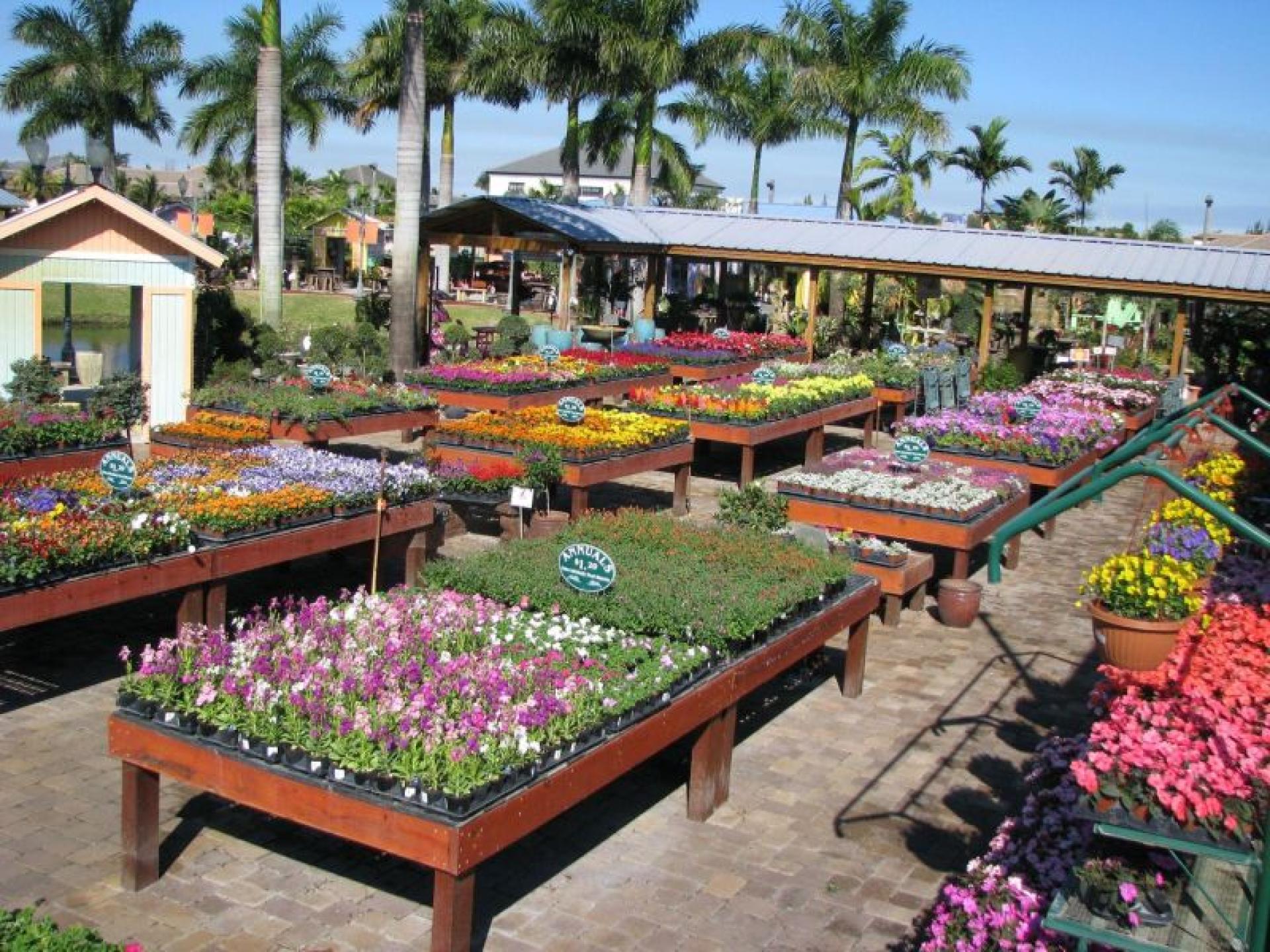 ​nursery – Armidale – 622158 2
