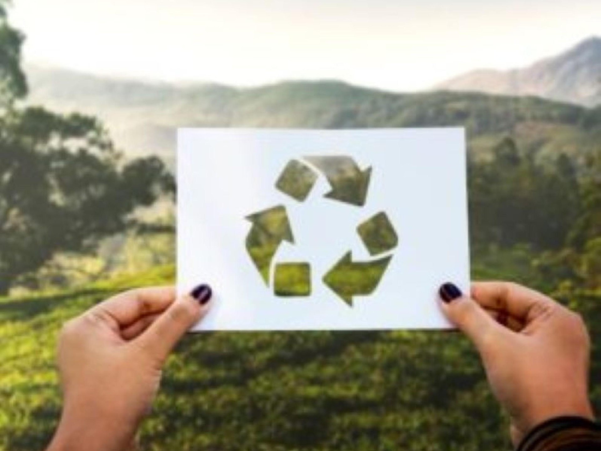 Eco-focused Essential Products Wholesaler-under 622293 2