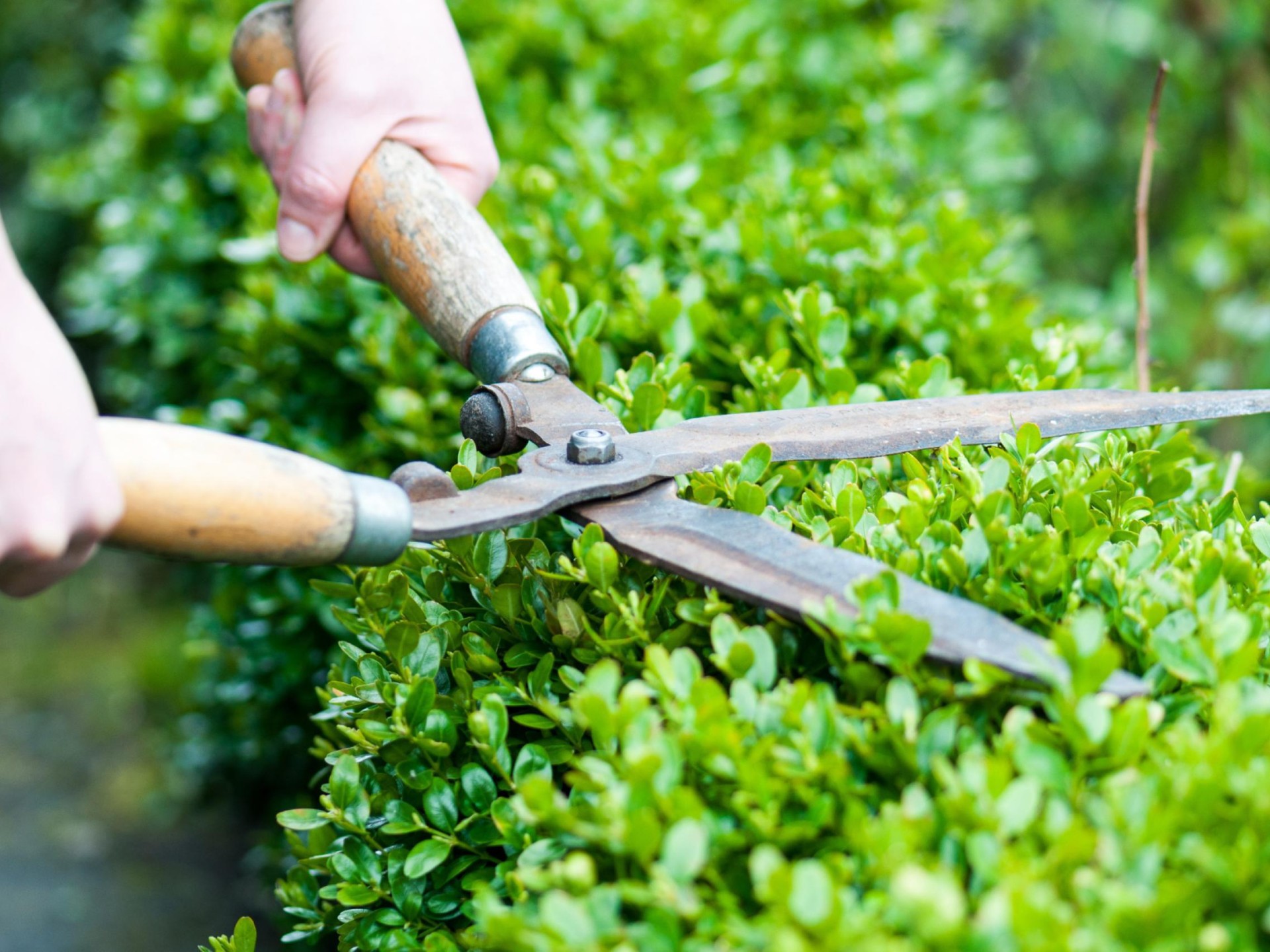 Body Corporate Property Maintenance 622439 2