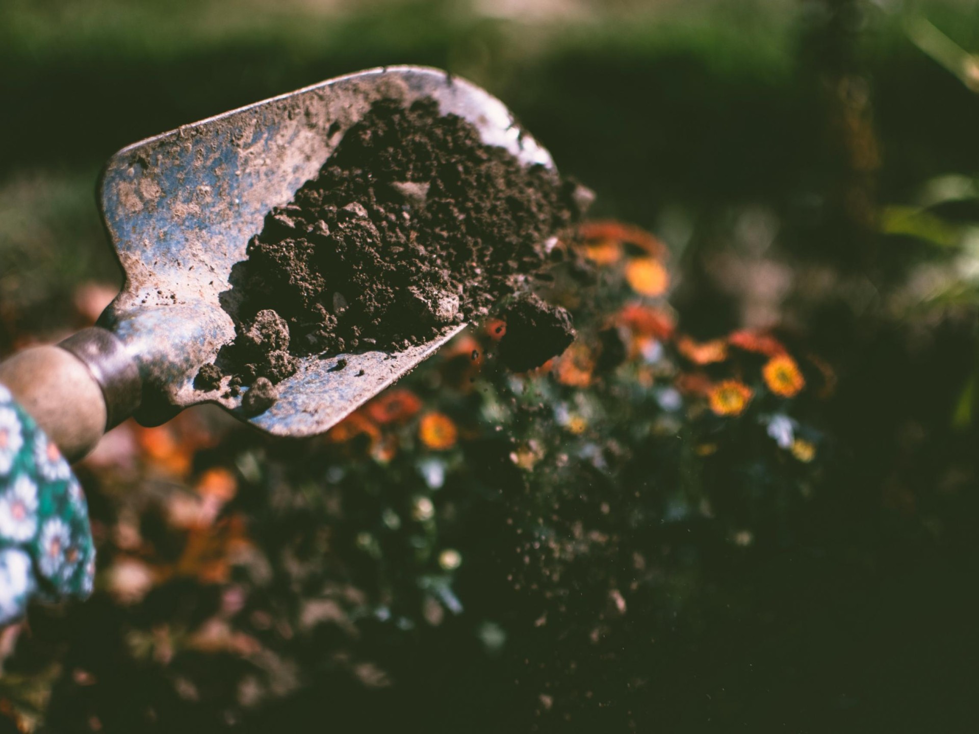 Body Corporate Property Maintenance 622439 1