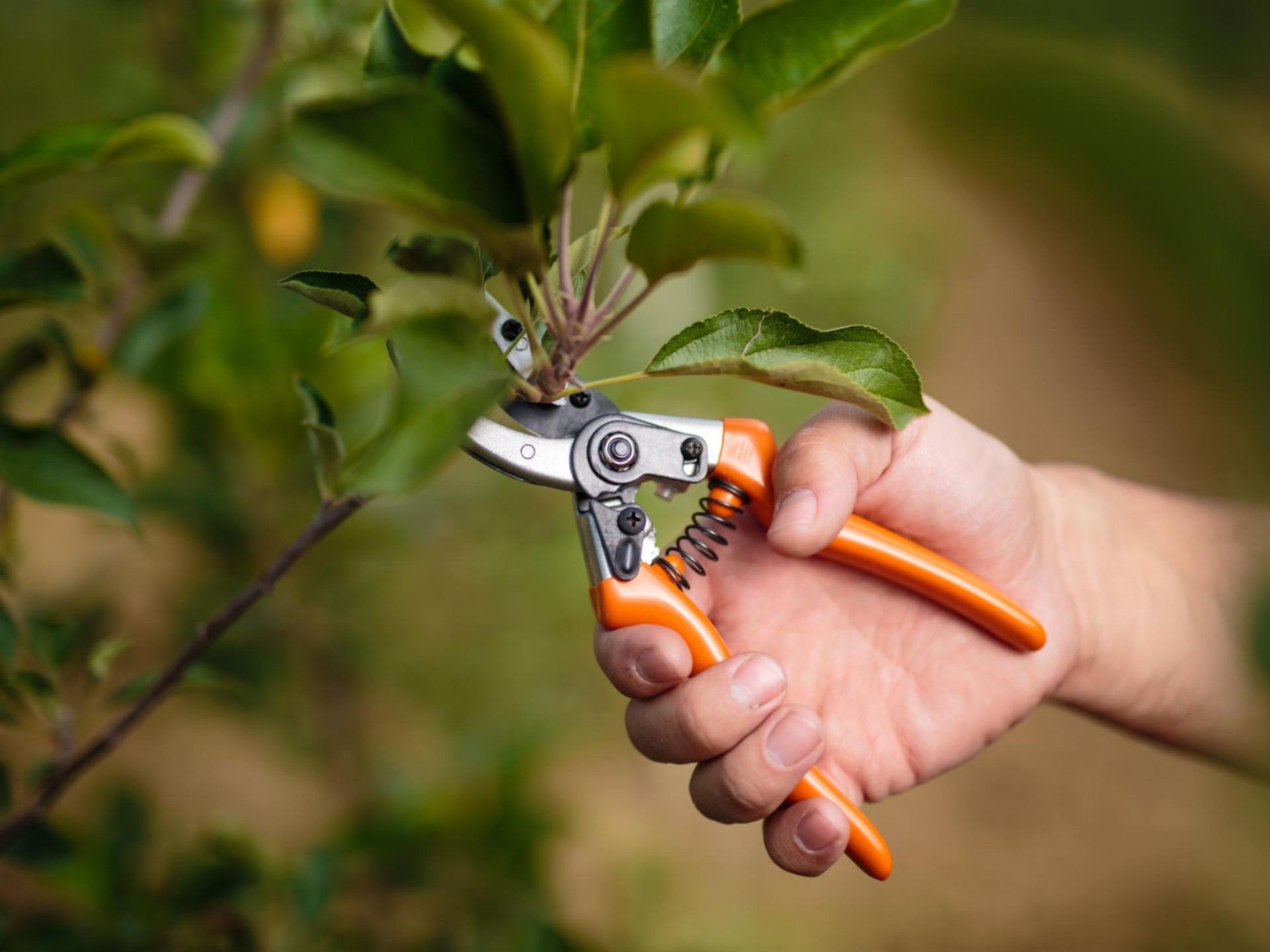 Body Corporate Property Maintenance 622439 3