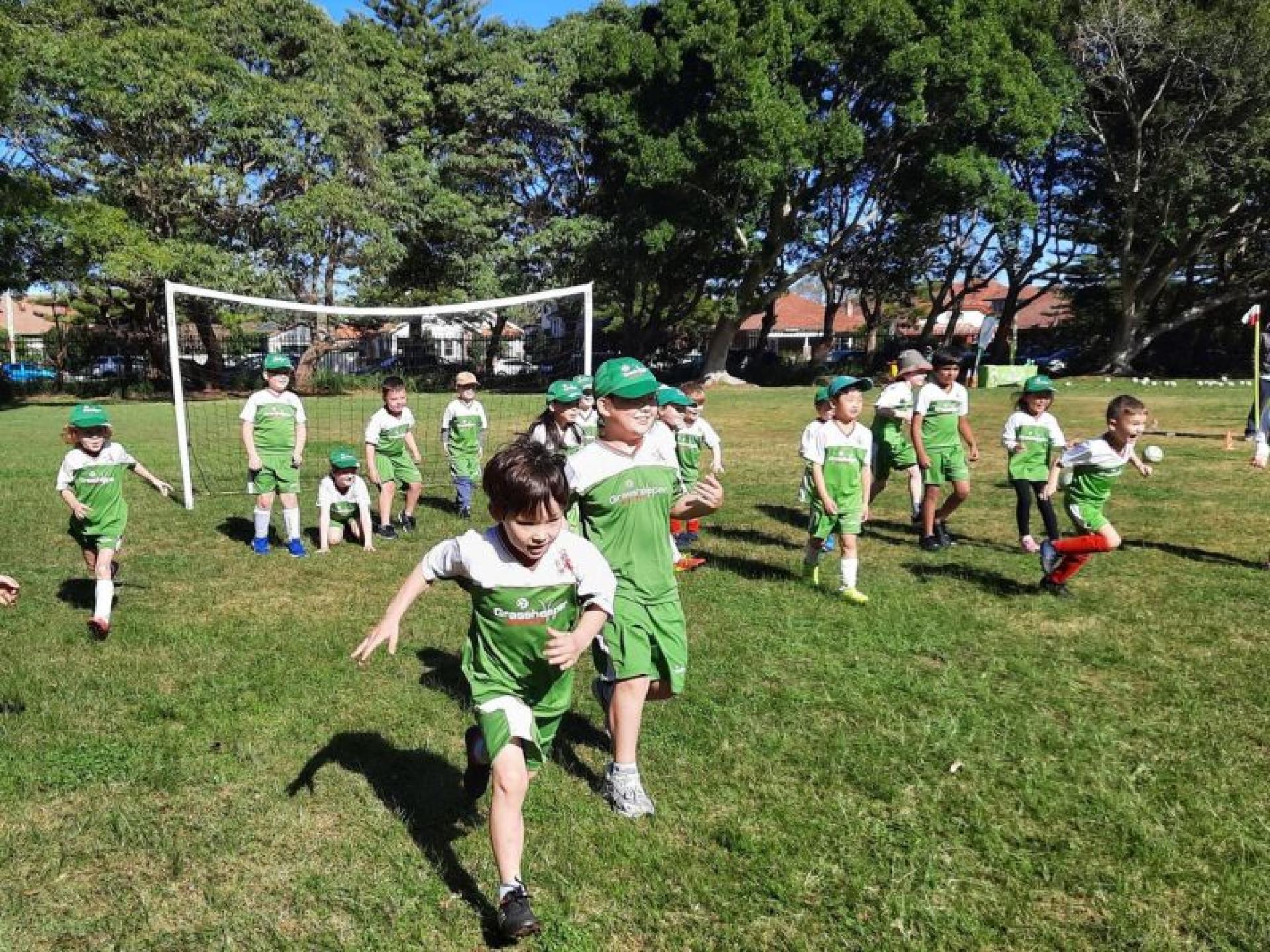 Two Grasshopper Soccer Franchises 623157 2