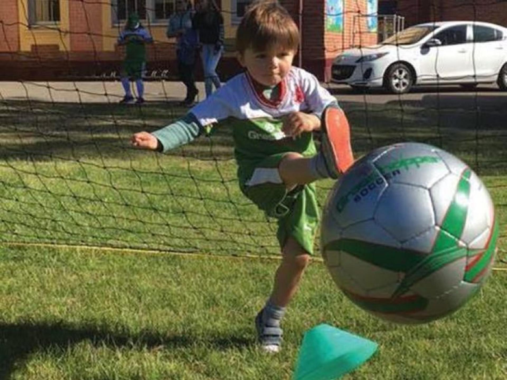 Two Grasshopper Soccer Franchises 623157 3
