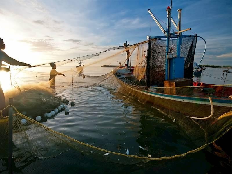 Profitable Commercial Fishing Business 623925 2