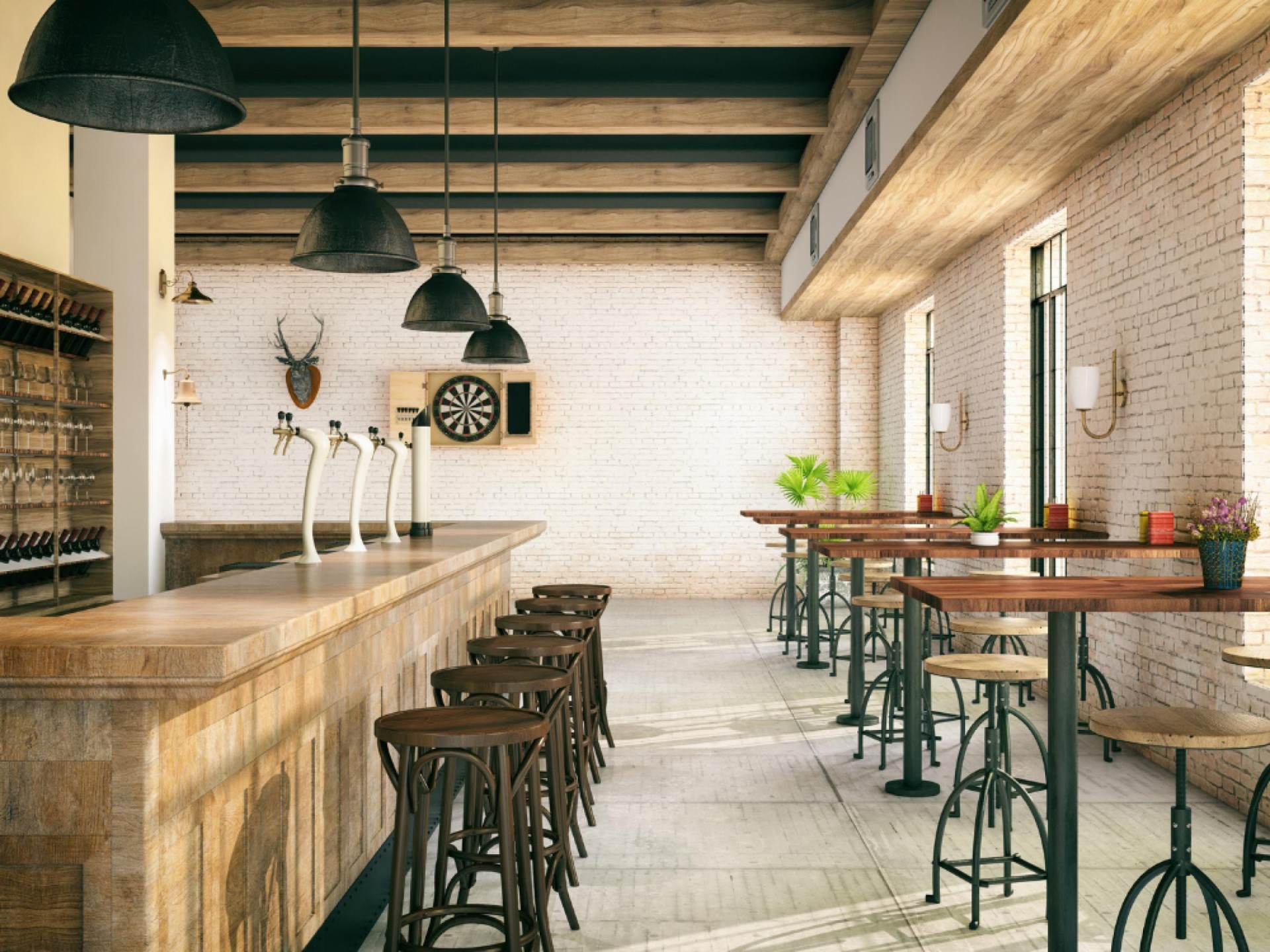 Freehold Cbd Café & 624202 3