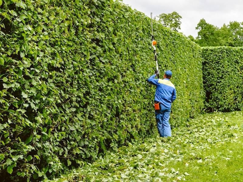 Northern Beaches Property Maintenance 625024 3