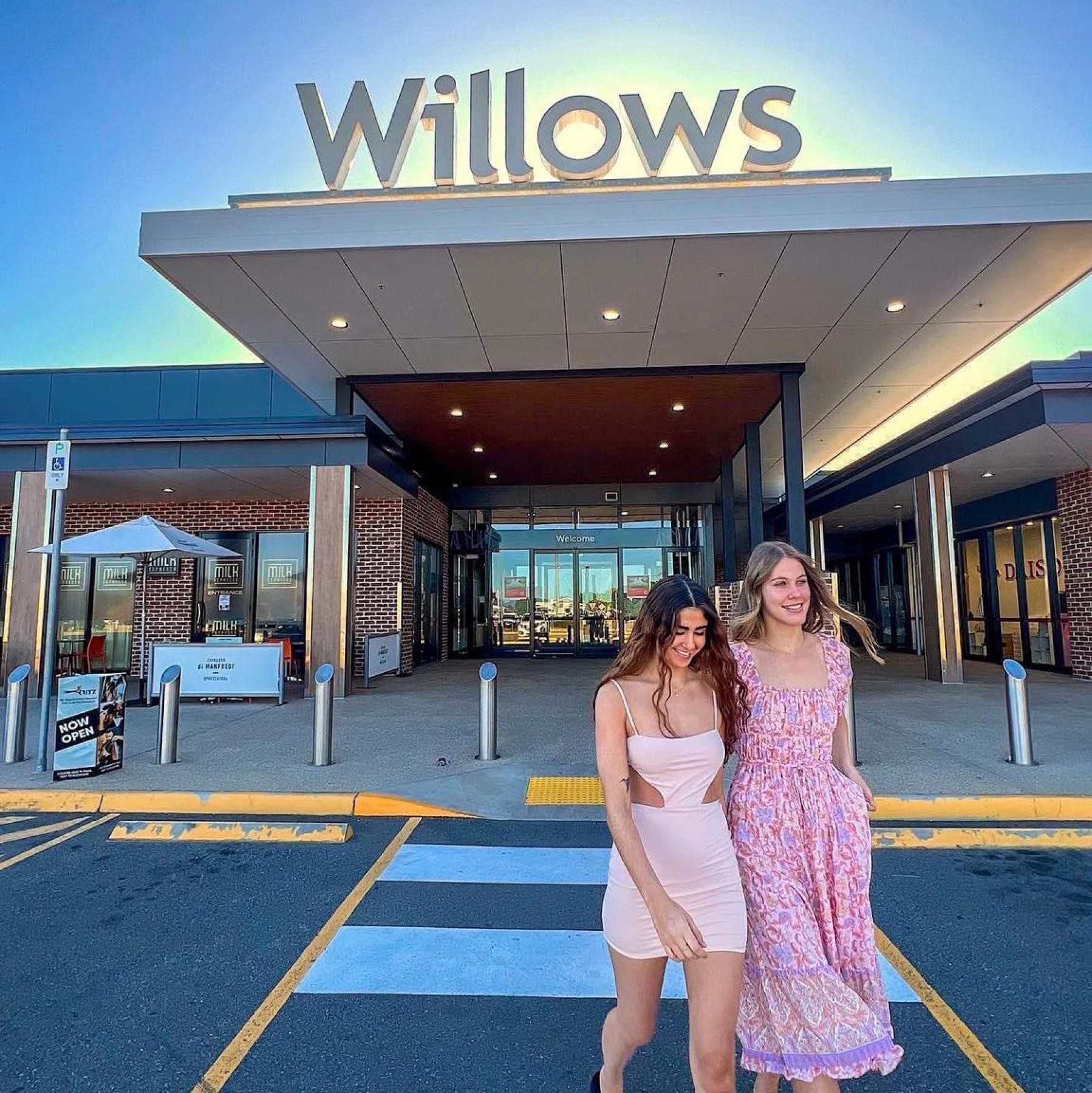 Milk Espresso Willows - 625126 3